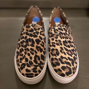 Steve Madden-Safary Slip On Shoes
